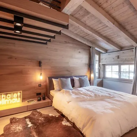 Chalet Dağ evi